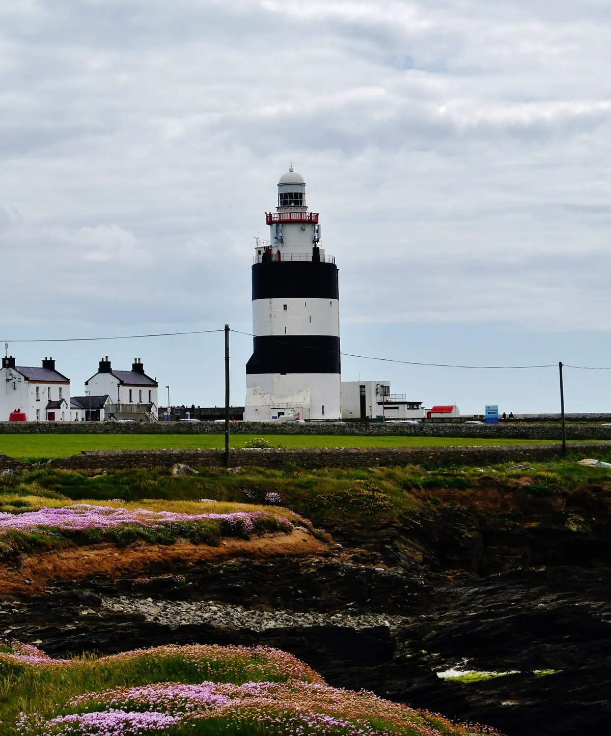 Hook Lighthouse, its black and white banded tower above the keepers' houses at Hook Head, with sea thrift flowering over the rock ledges in front