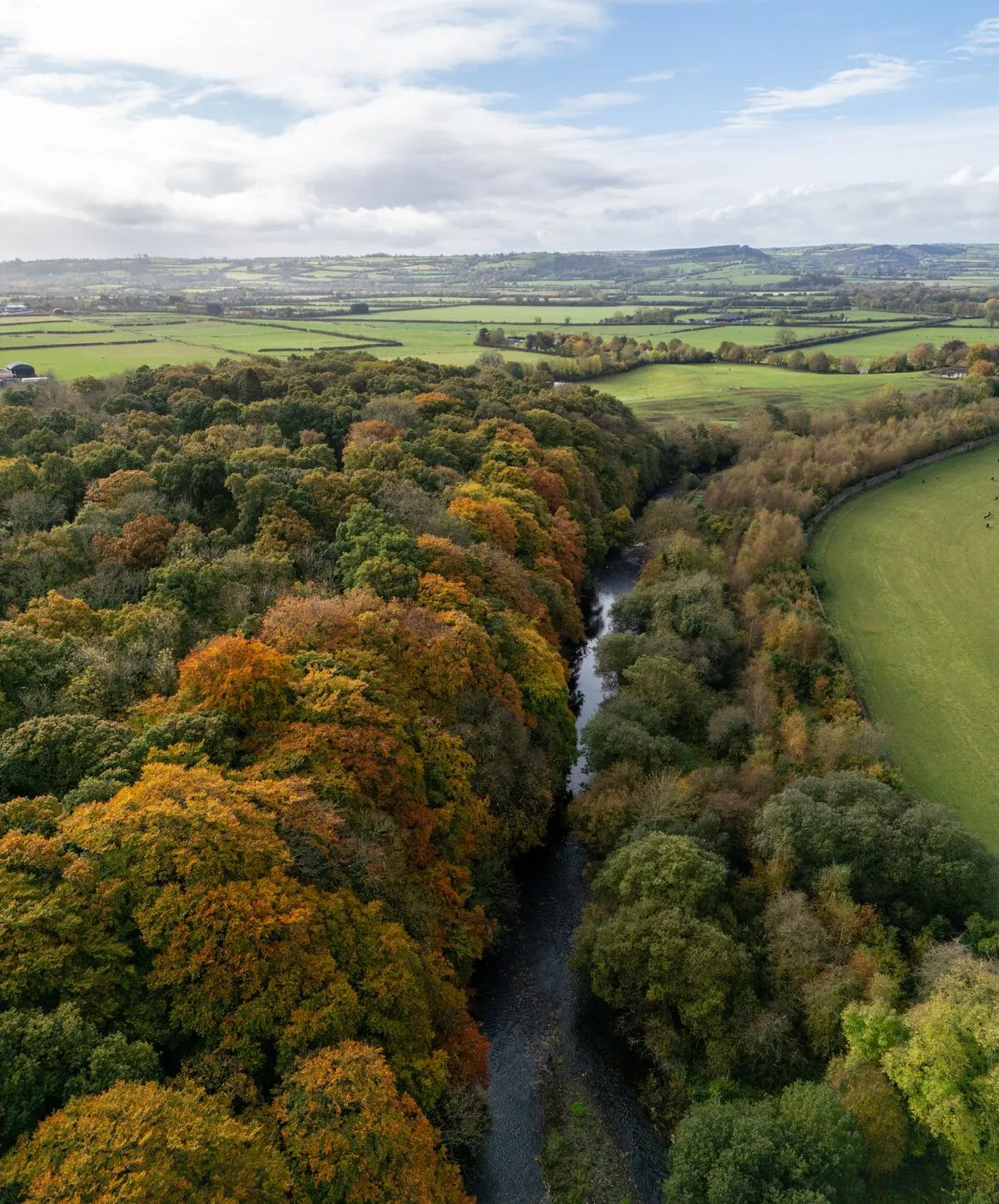 Jenkinstown Park from the air in autumn, a river running through broadleaf woods with hedged farmland beyond